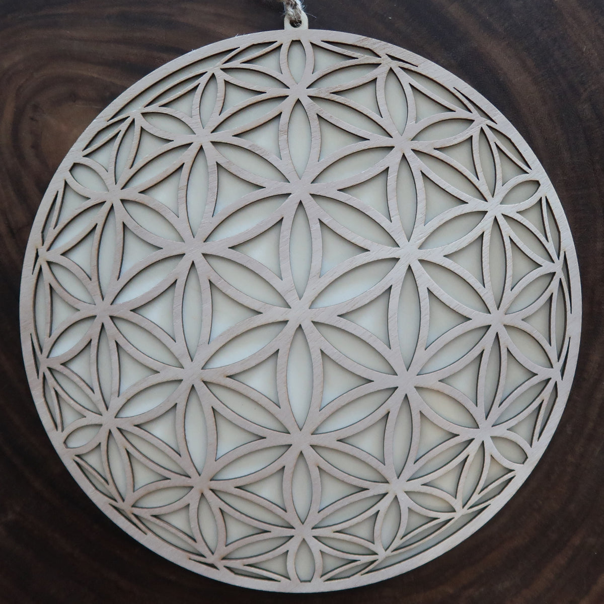 Flower Of Life Wall Art II