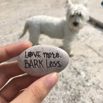 Love More Bark Less Pawsitive Stone Dogs