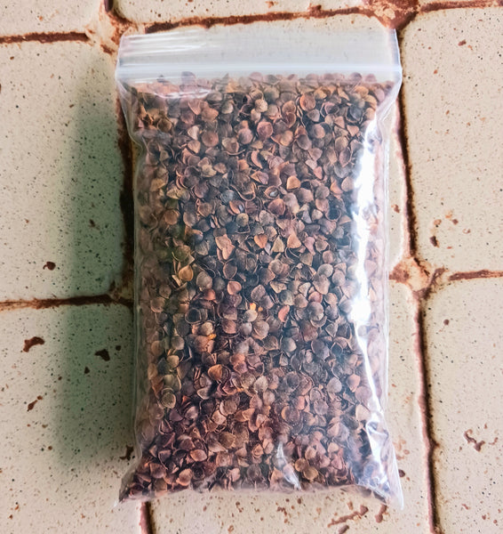 Buckwheat - Loose Large