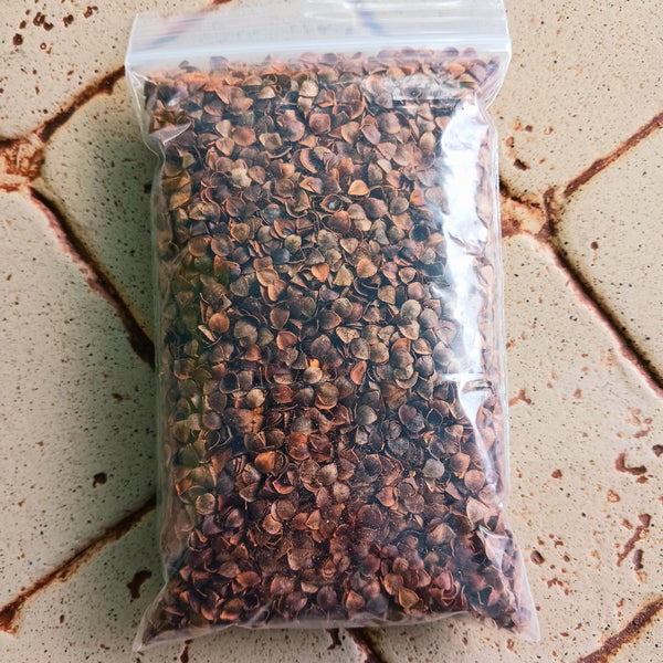 Buckwheat - Loose Large