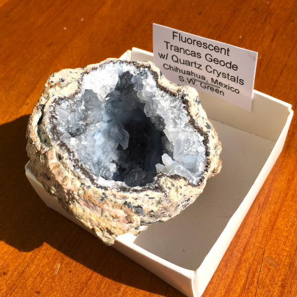 Fluorescent Trancas Geode with Quartz Crystals