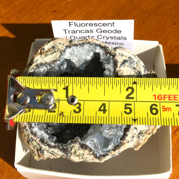 Fluorescent Trancas Geode with Quartz Crystals