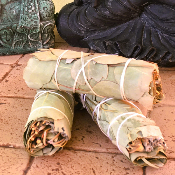 Eucalyptus Sage Smudge Stick Bundle