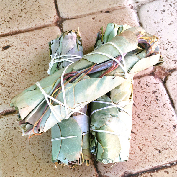 Eucalyptus Sage Smudge Stick Bundle