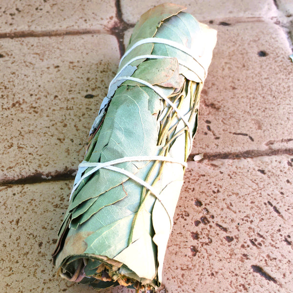 Eucalyptus Sage Smudge Stick Bundle