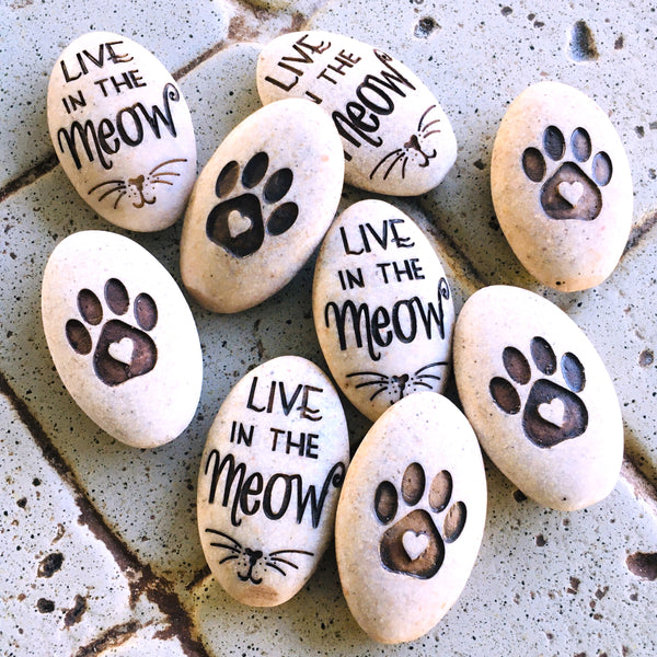Live In The Meow Pawsitive Stone