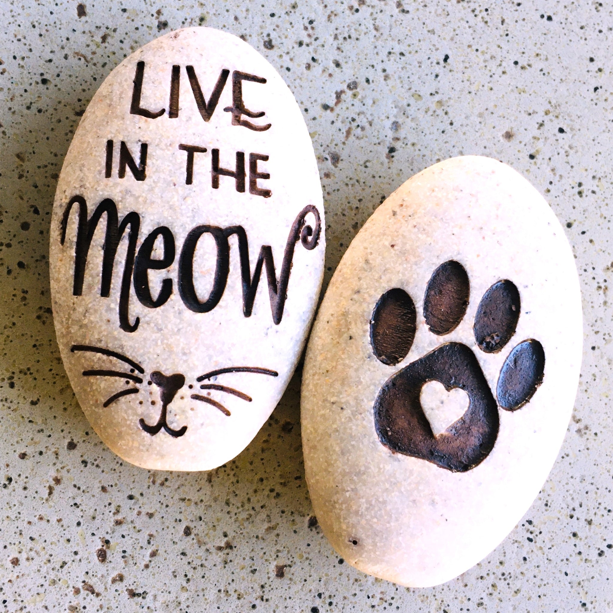 Live In The Meow Pawsitive Stone