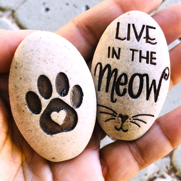 Live In The Meow Pawsitive Stone