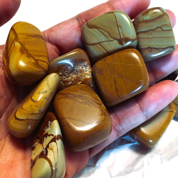 Walnut Jasper Tumbled