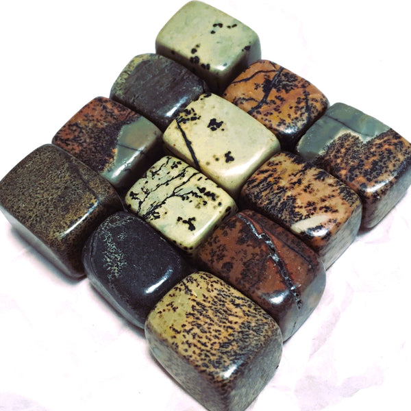 Scenic Jasper Tumbled Cube