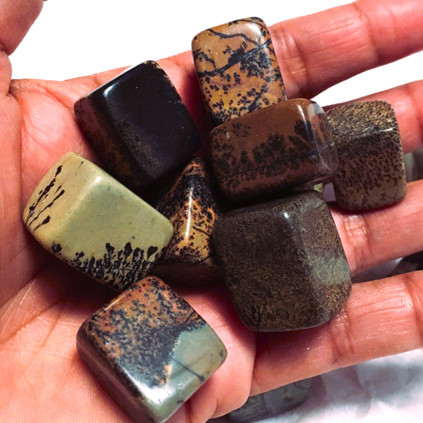 Scenic Jasper Tumbled Cube