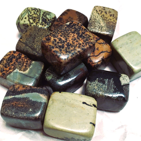 Scenic Jasper Tumbled Cube