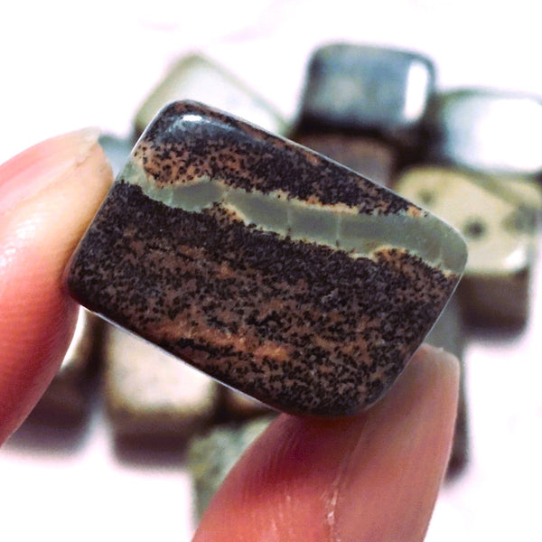 Scenic Jasper Tumbled Cube