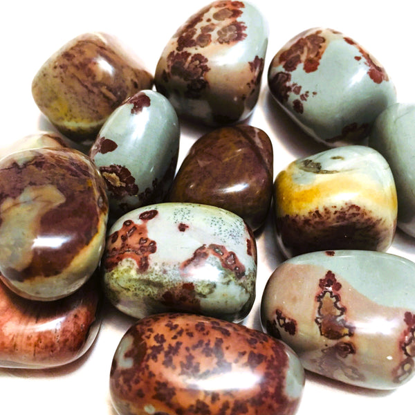 Scenic Jasper Tumbled