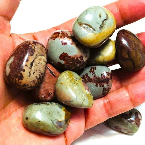 Scenic Jasper Tumbled