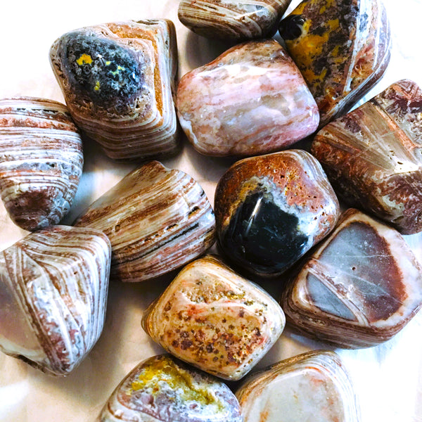 Casanova Chalcedony Tumbled