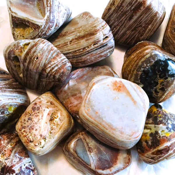 Casanova Chalcedony Tumbled
