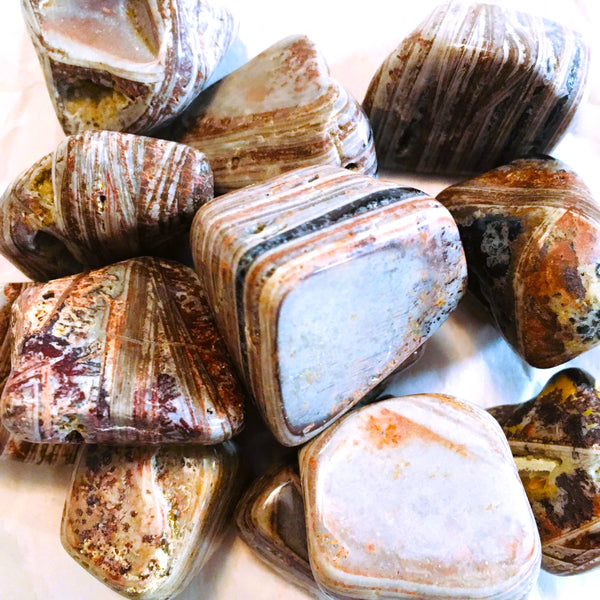 Casanova Chalcedony Tumbled