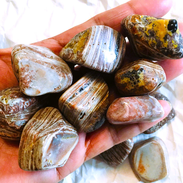 Casanova Chalcedony Tumbled