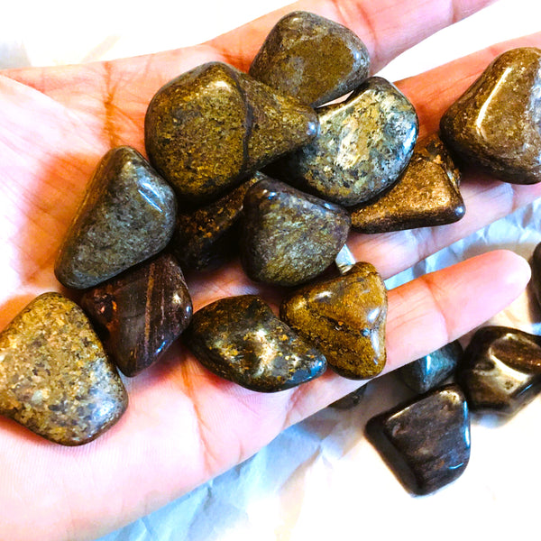 Bronzite Tumbled