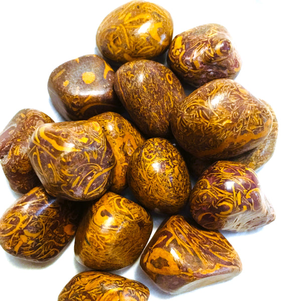Coquina Jasper Tumbled