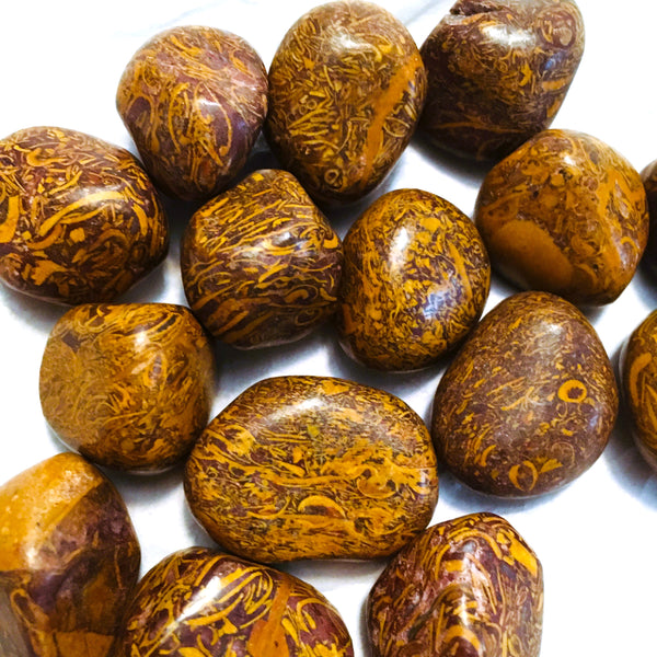 Coquina Jasper Tumbled