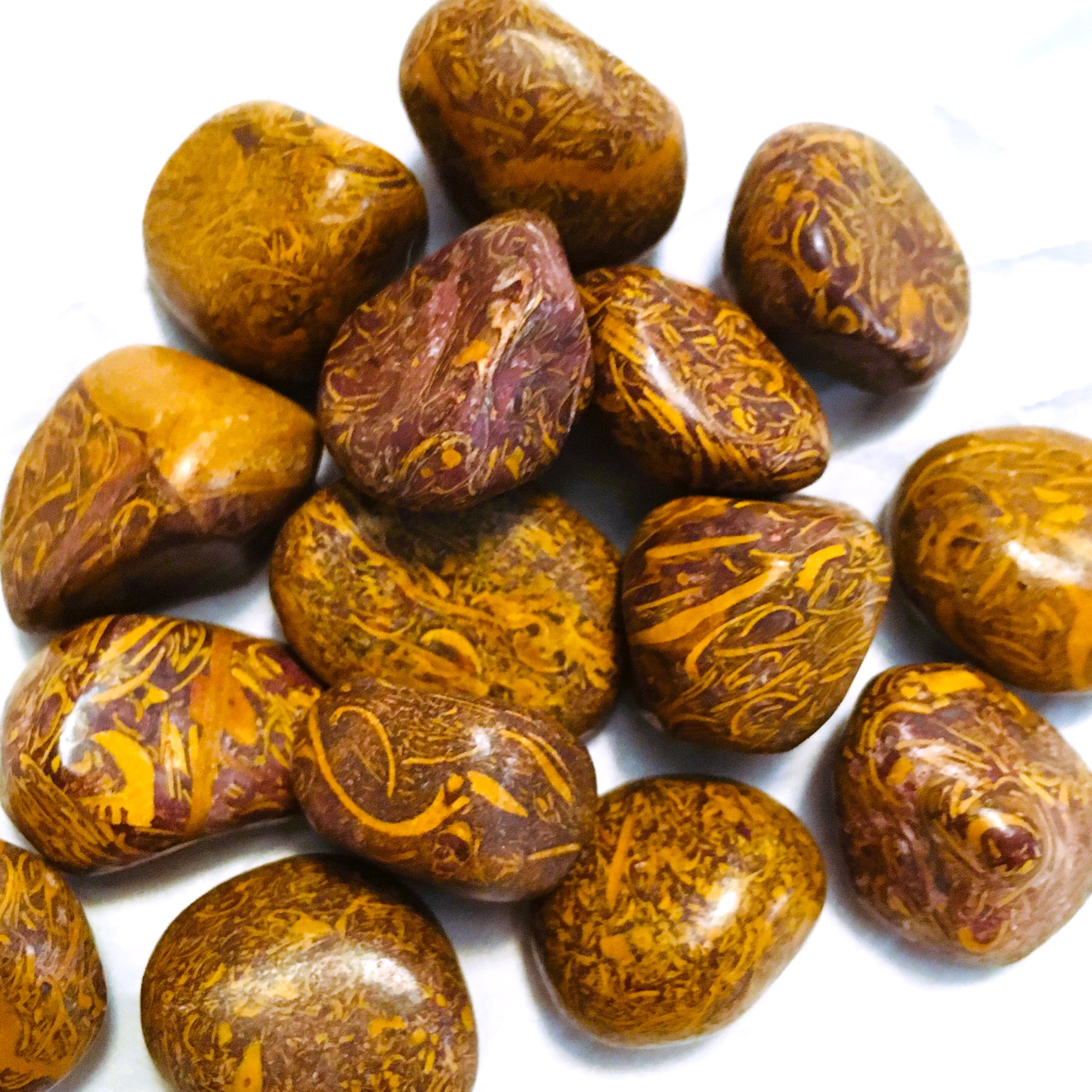 Coquina Jasper Tumbled