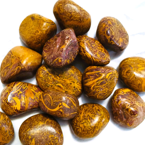 Coquina Jasper Tumbled