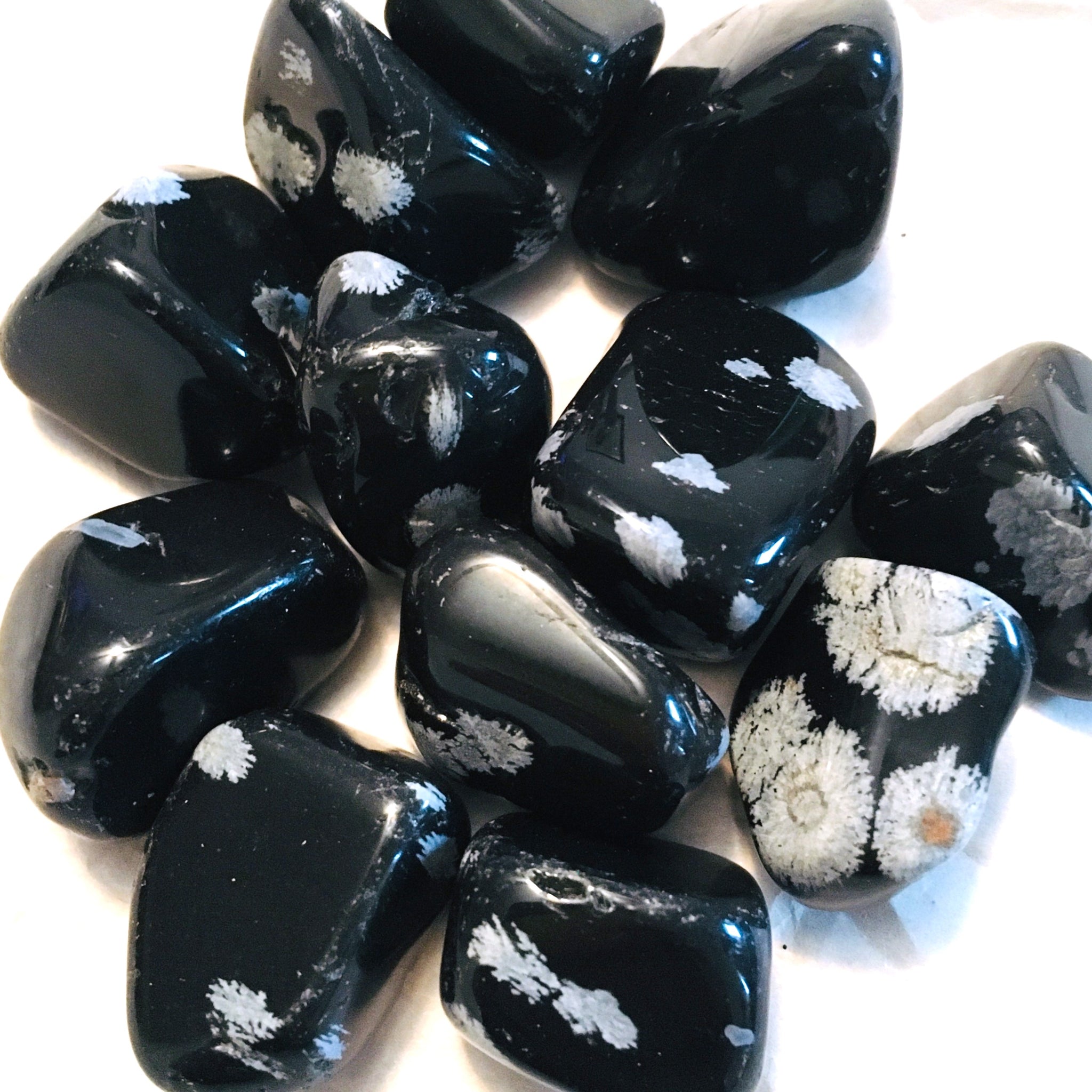 Snowflake Obsidian Tumbled