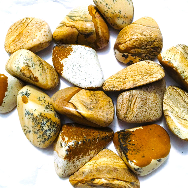 Picture Jasper Tumbled