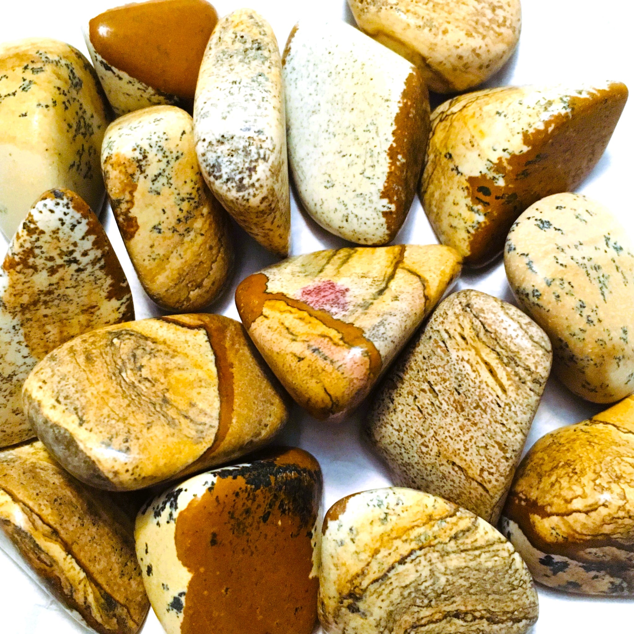 Picture Jasper Tumbled
