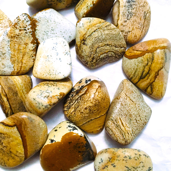 Picture Jasper Tumbled