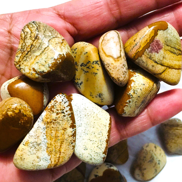 Picture Jasper Tumbled