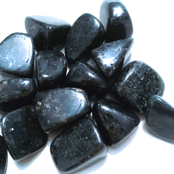 Nuummite Tumbled