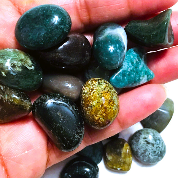 Moss Agate Tumbled