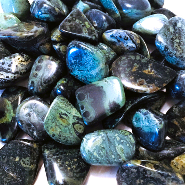 Kambaba Jasper Tumbled