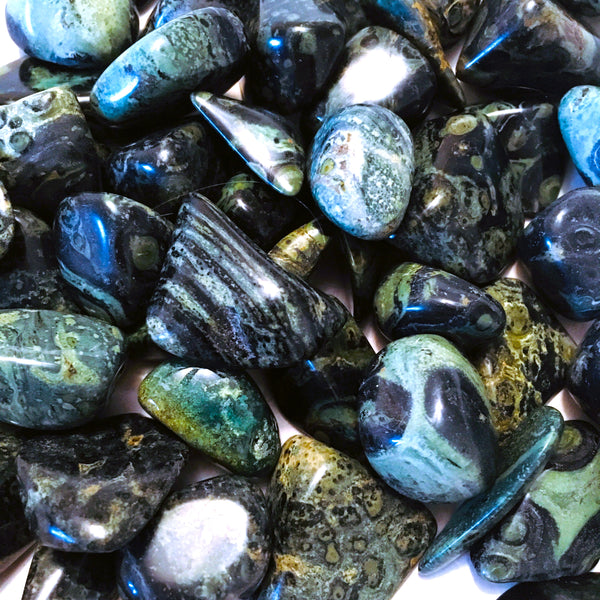 Kambaba Jasper Tumbled