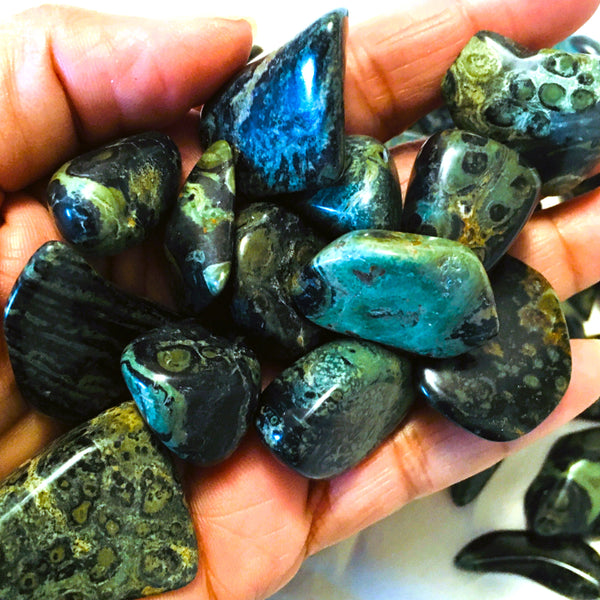 Kambaba Jasper Tumbled