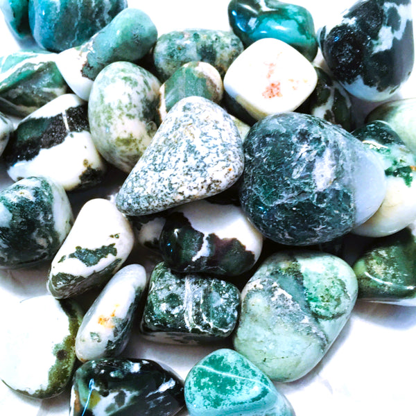 Tree Agate Tumbled