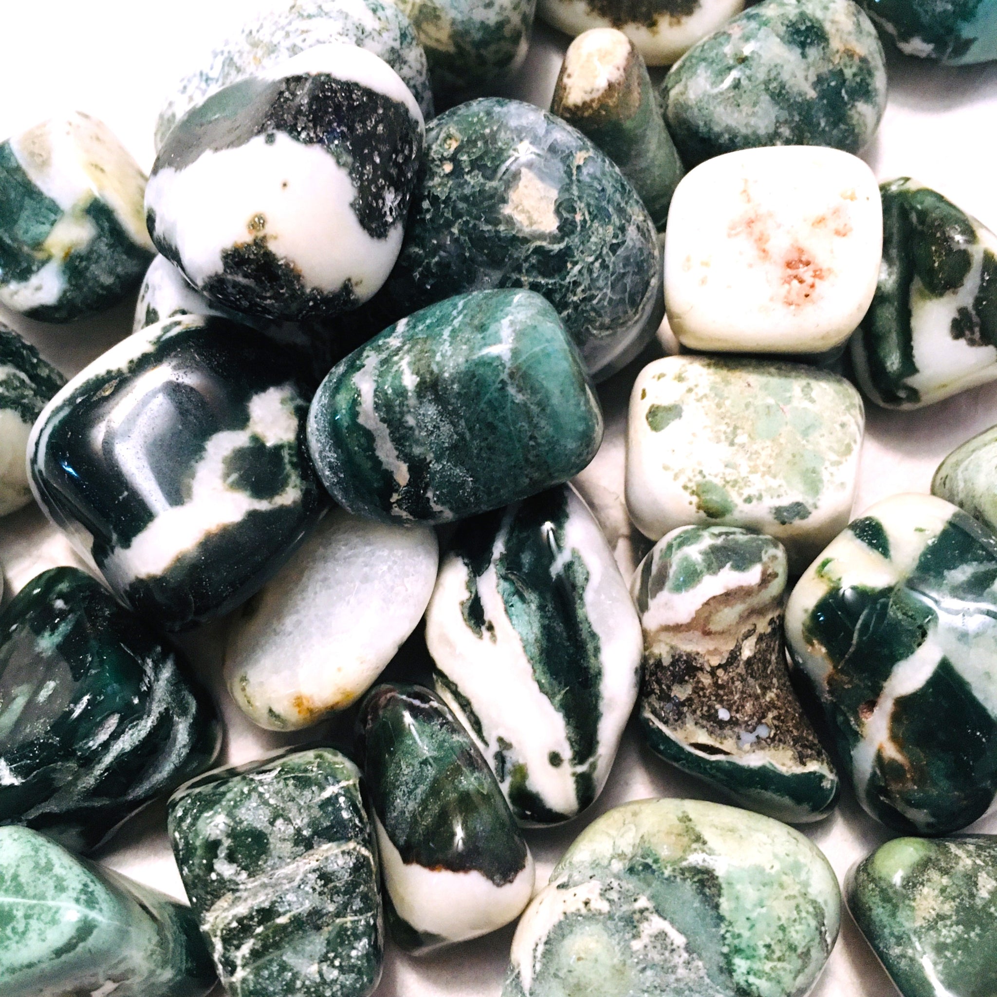 Tree Agate Tumbled