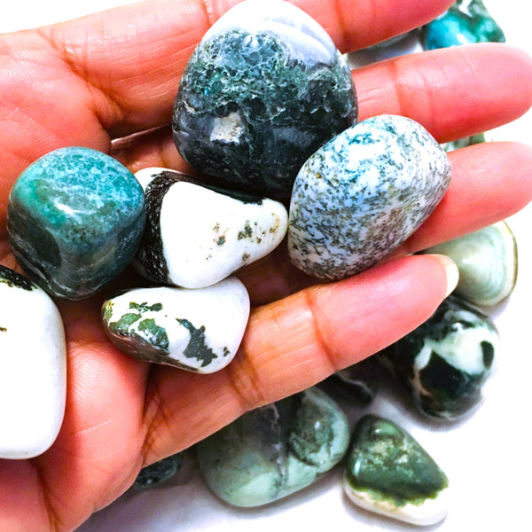 Tree Agate Tumbled