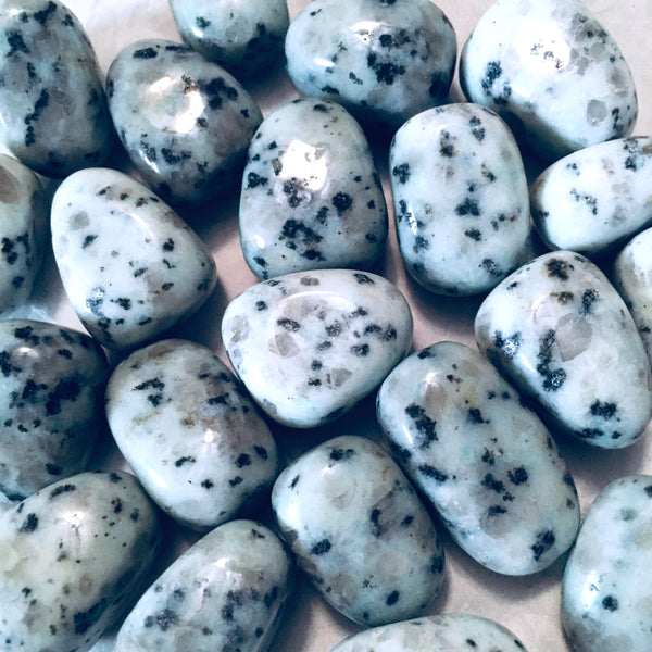 Kiwi Jasper Tumbled