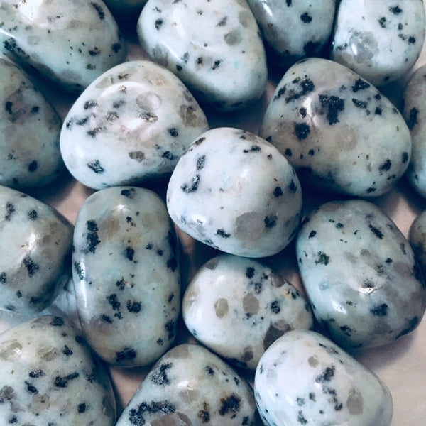 Kiwi Jasper Tumbled
