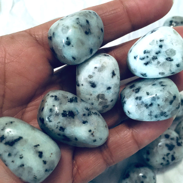 Kiwi Jasper Tumbled