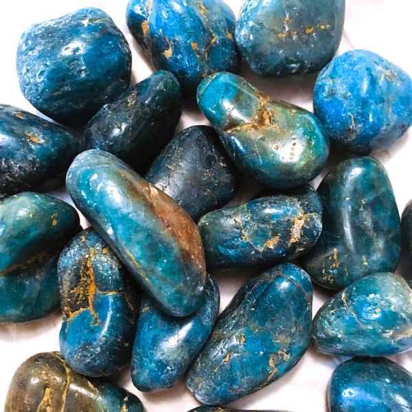 Blue Apatite Tumbled