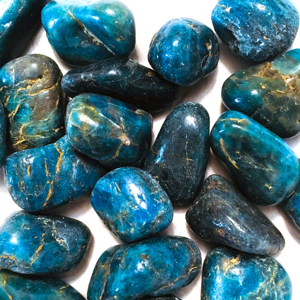 Blue Apatite Tumbled