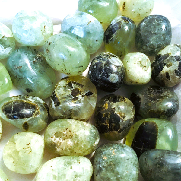 Prehnite Tumbled