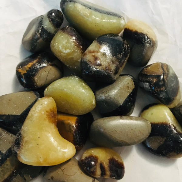Septarian "Dragon Stone" Tumbled