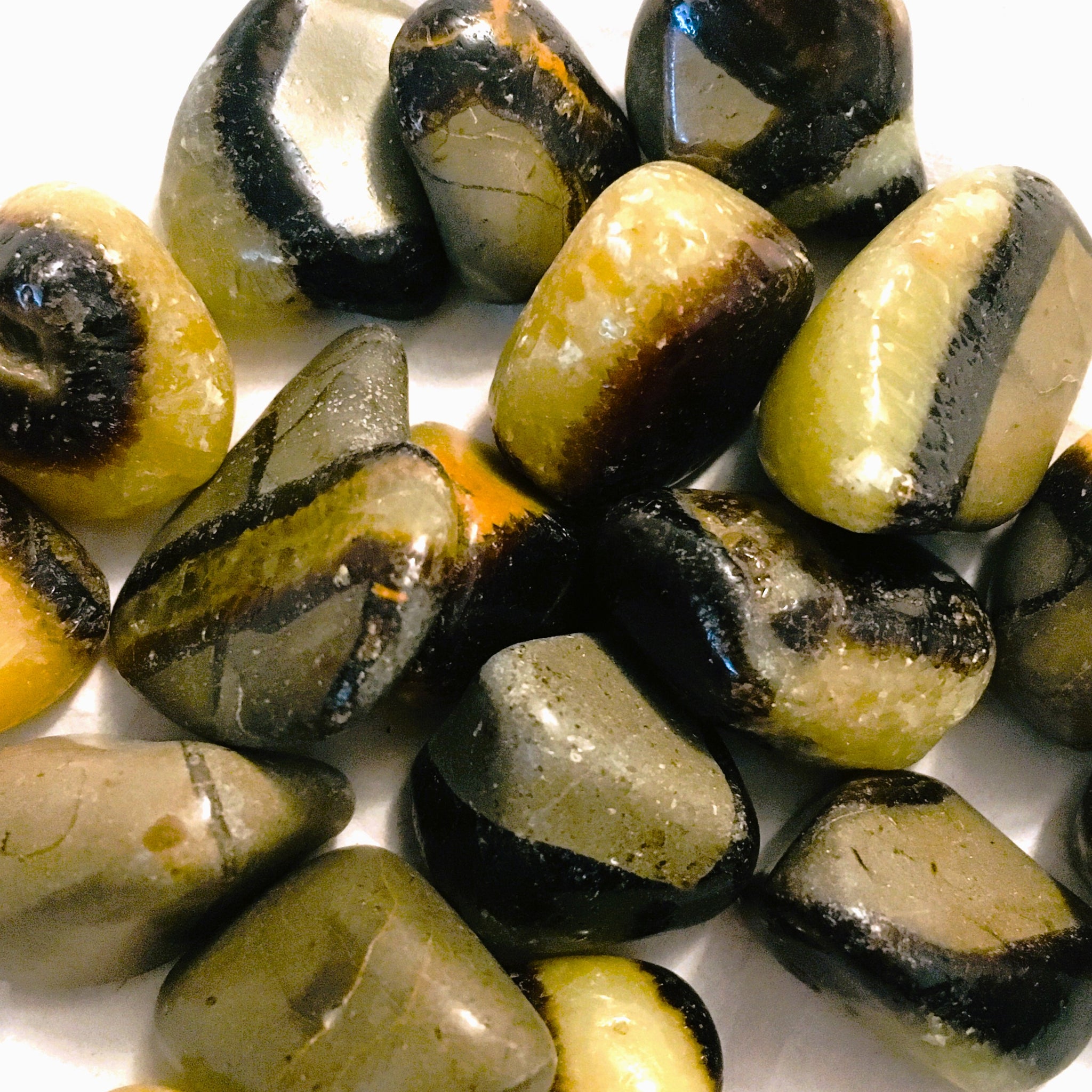 Septarian "Dragon Stone" Tumbled