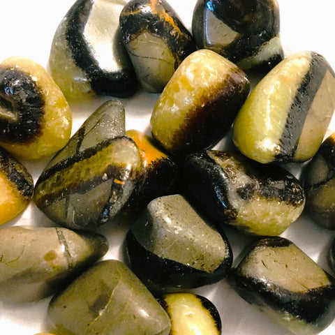 Septarian "Dragon Stone" Tumbled